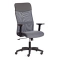 Кресло PRACTIC PLT ткань/кож/зам, серый/металлик, TW-12/W-12/36 TETCHAIR-21416 - фото 40664